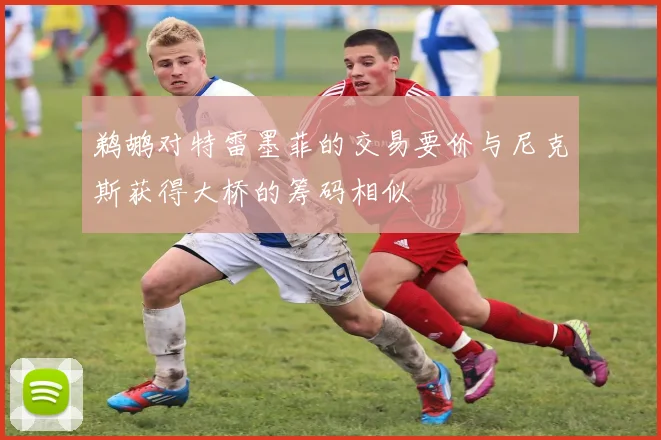 鹈鹕对特雷墨菲的交易要价与尼克斯获得大桥的筹码相似