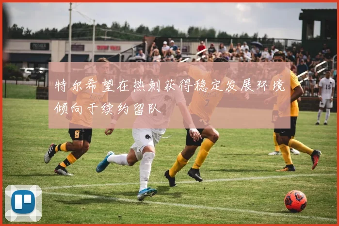 特尔希望在热刺获得稳定发展环境倾向于续约留队